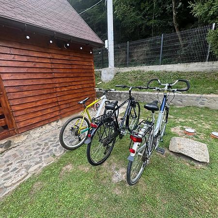 Woods Retreat Villa Malomvíz Kültér fotó