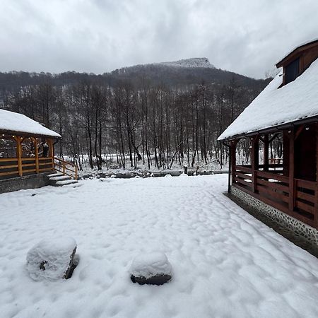 Woods Retreat Villa Malomvíz Kültér fotó