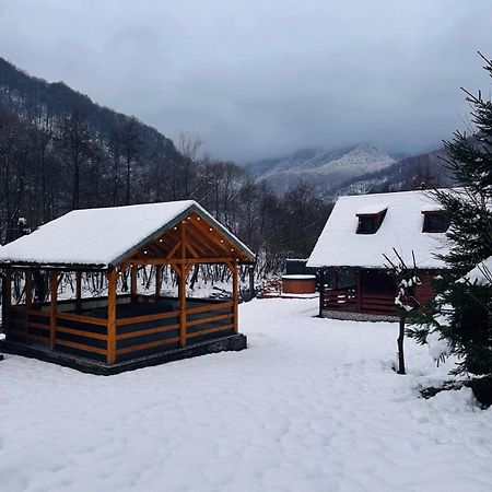 Woods Retreat Villa Malomvíz Kültér fotó