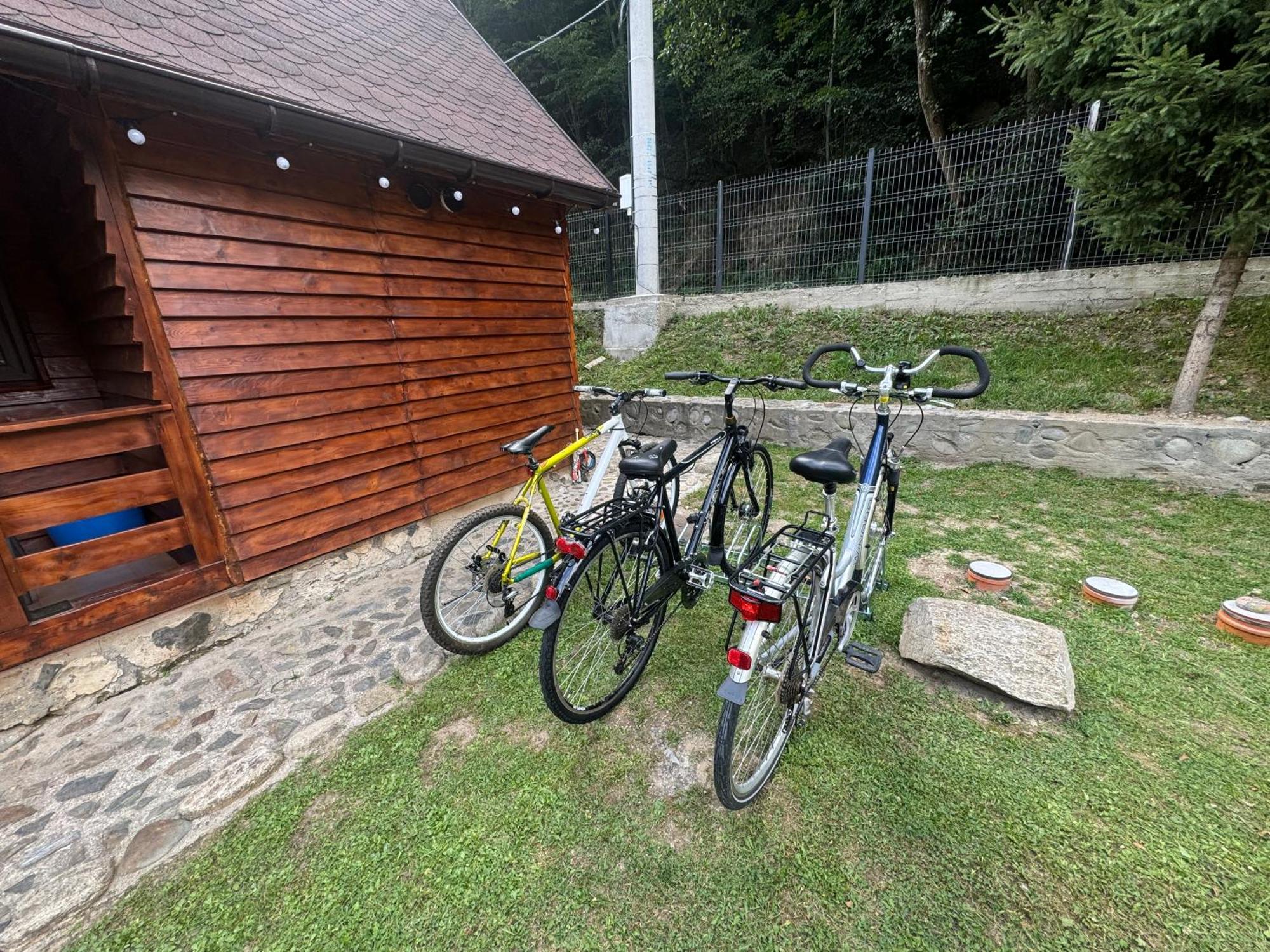 Woods Retreat Villa Malomvíz Kültér fotó