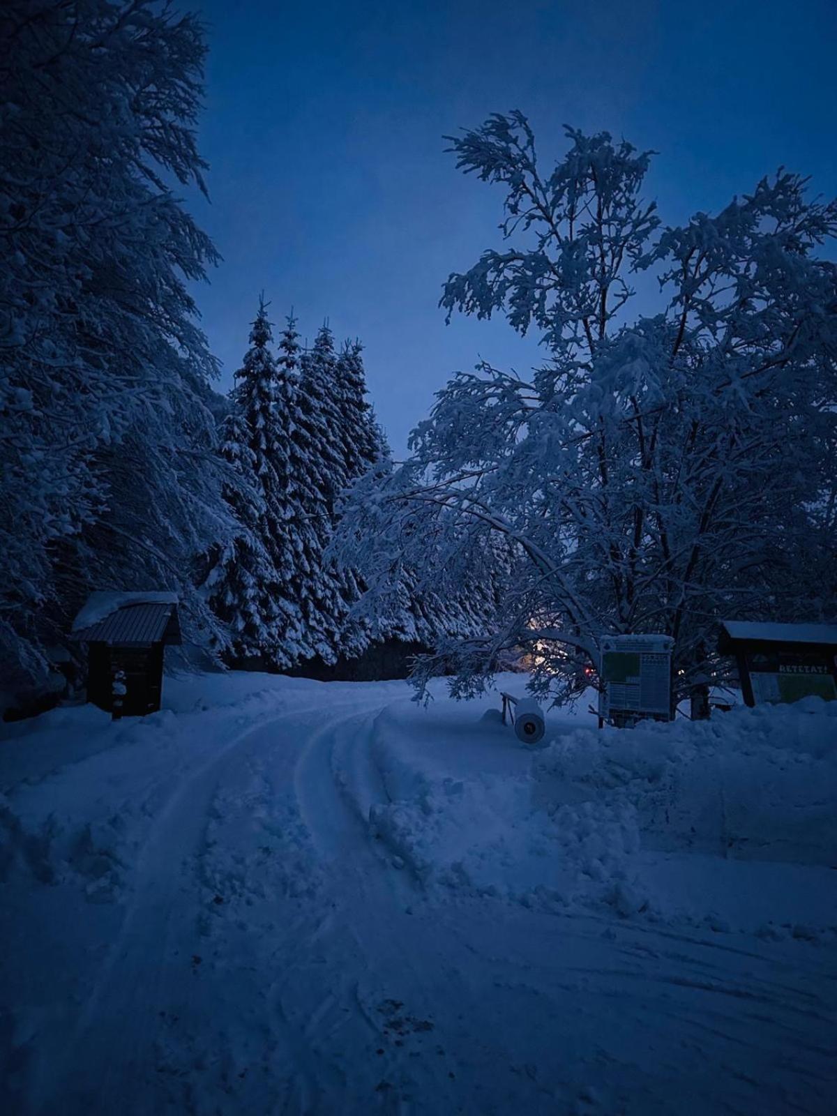 Woods Retreat Villa Malomvíz Kültér fotó