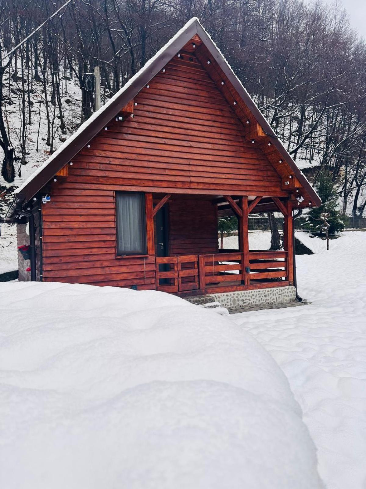 Woods Retreat Villa Malomvíz Kültér fotó