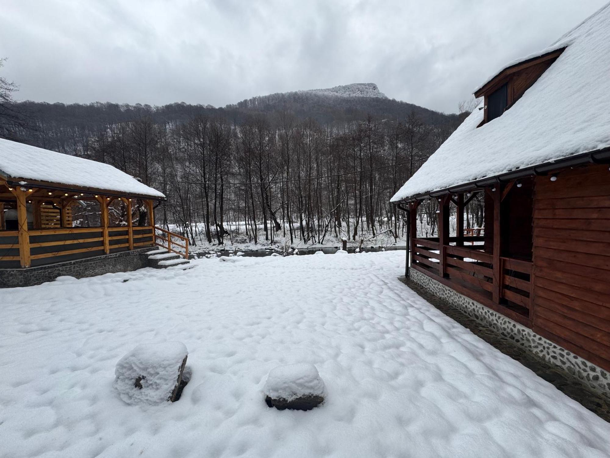 Woods Retreat Villa Malomvíz Kültér fotó