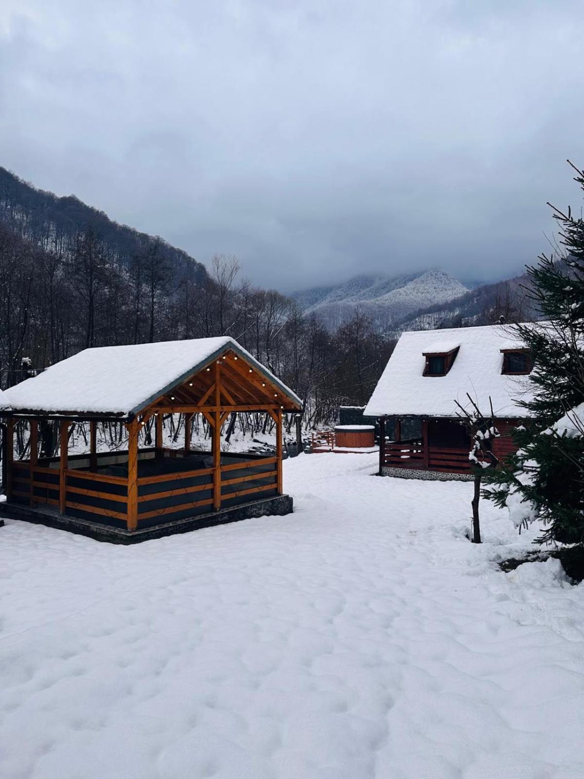 Woods Retreat Villa Malomvíz Kültér fotó