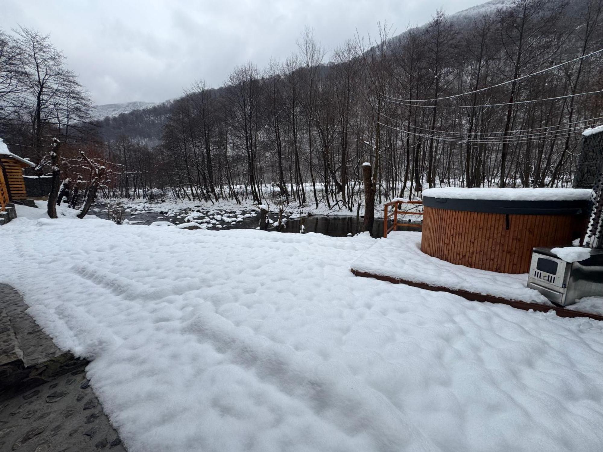 Woods Retreat Villa Malomvíz Kültér fotó
