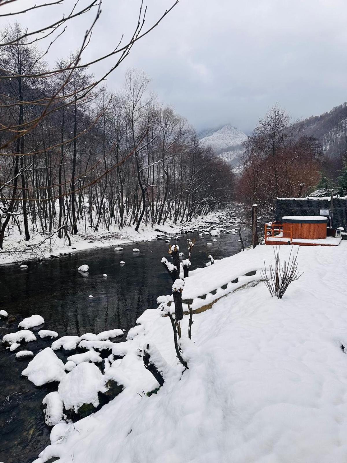 Woods Retreat Villa Malomvíz Kültér fotó